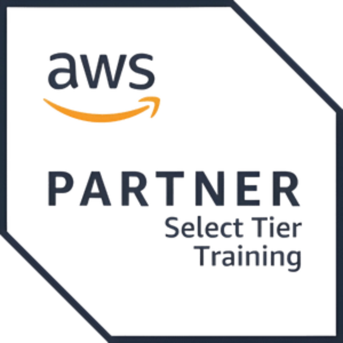 vegatraining aws partner