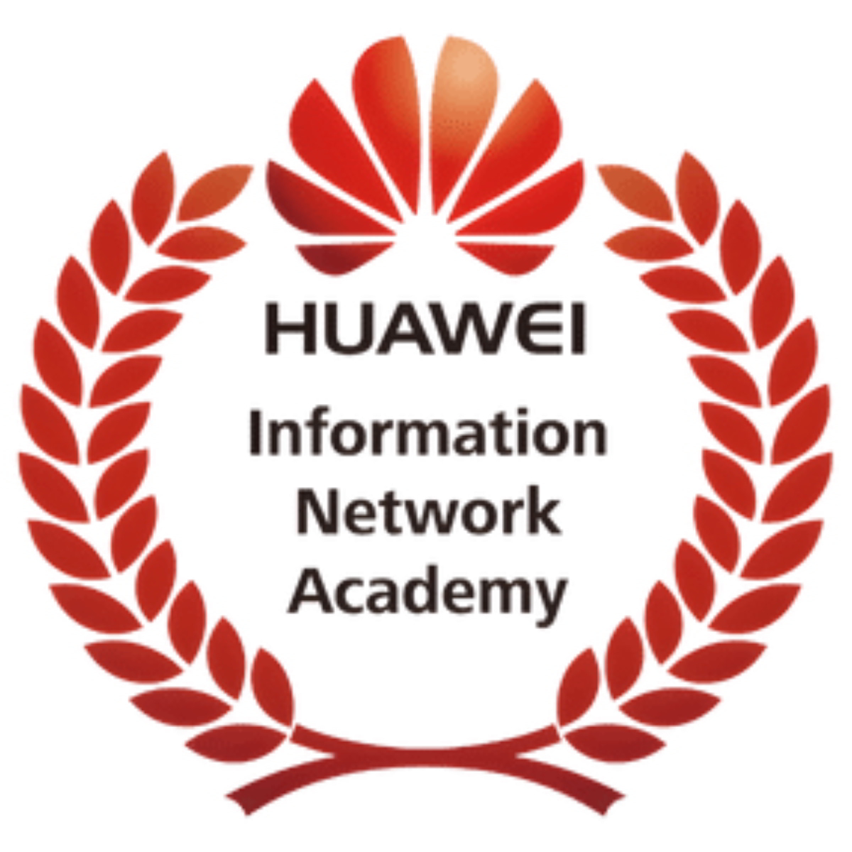 huawey information network academy vega training